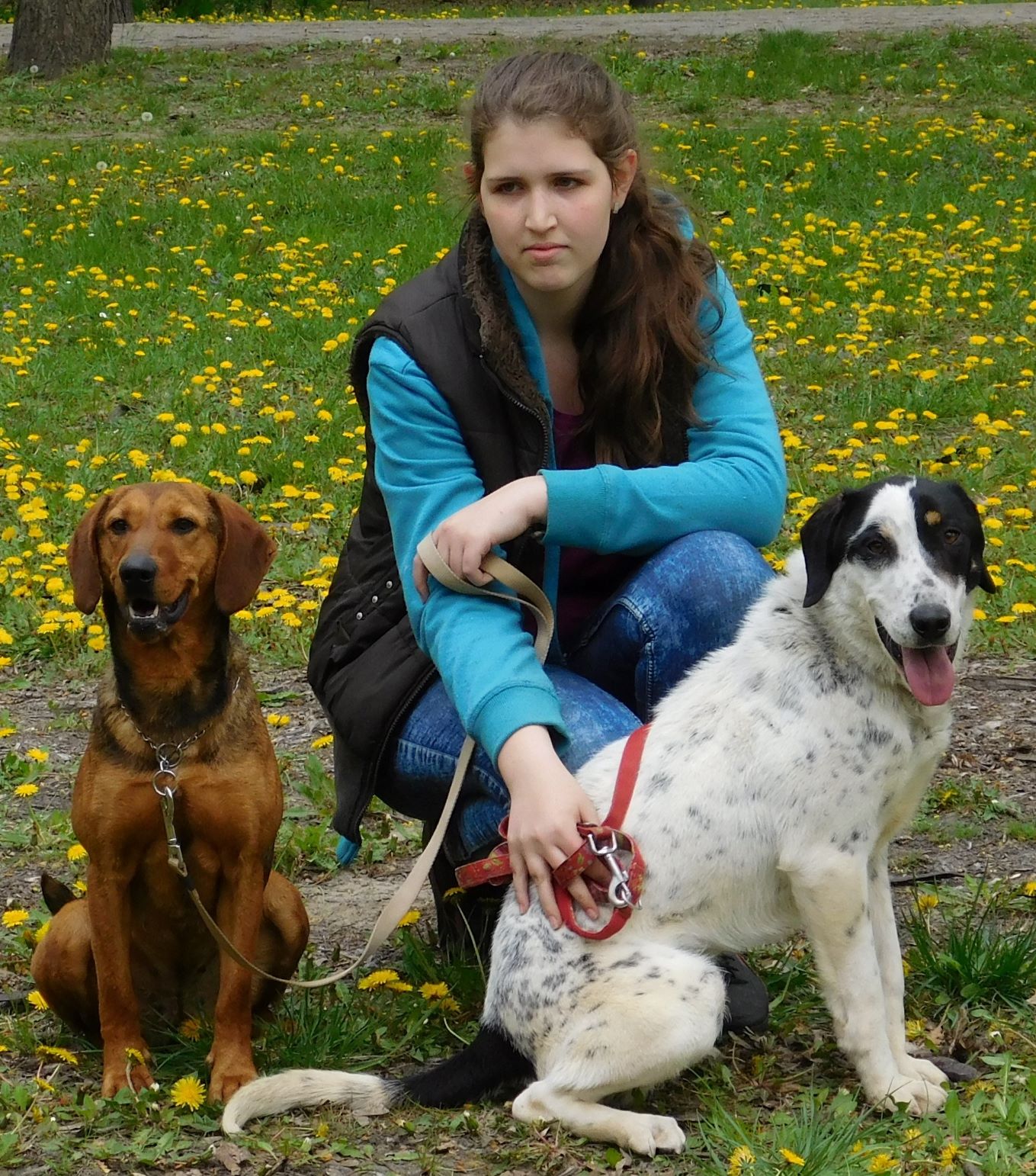 Élethang Alapítvány